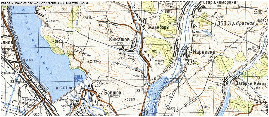 Карта КІНАШІВ, Івано-Франківська область, Галицький район