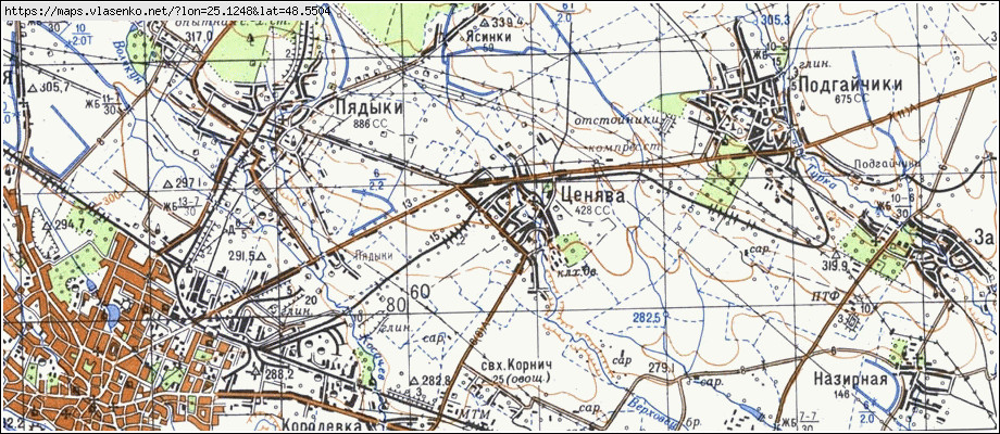 Карта ЦЕНЯВА, Івано-Франківська область, Коломийський район