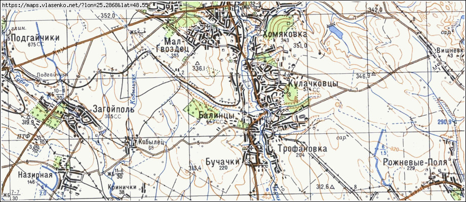 Карта БАЛИНЦІ, Івано-Франківська область, Снятинський район