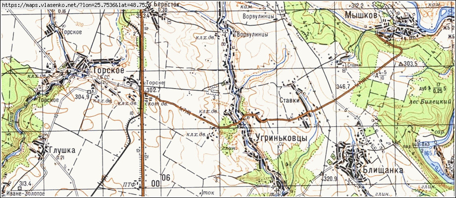 Карта УГРИНЬКІВЦІ, Тернопільська область, Заліщицький район