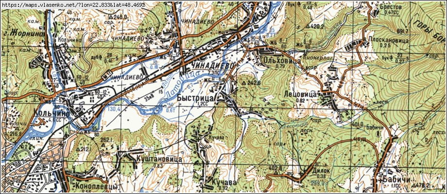 Карта БИСТРИЦЯ, Закарпатська область, Мукачівський район