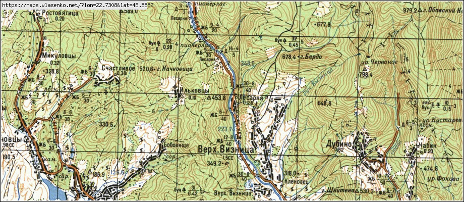 Карта ЛІСАРНЯ, Закарпатська область, Мукачівський район