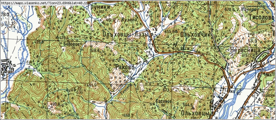 Карта РАКОВЕ, Закарпатська область, Тячівський район